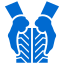 Llantas